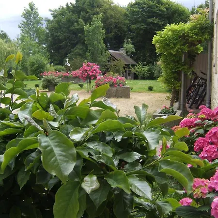 Prázdninový dům Maison 17e Siecle Avec Jardin Et Terrasse, Proche Haras Du Pin Et Plages, Max 5 Pers, Inclus. - Fr-1-497-217